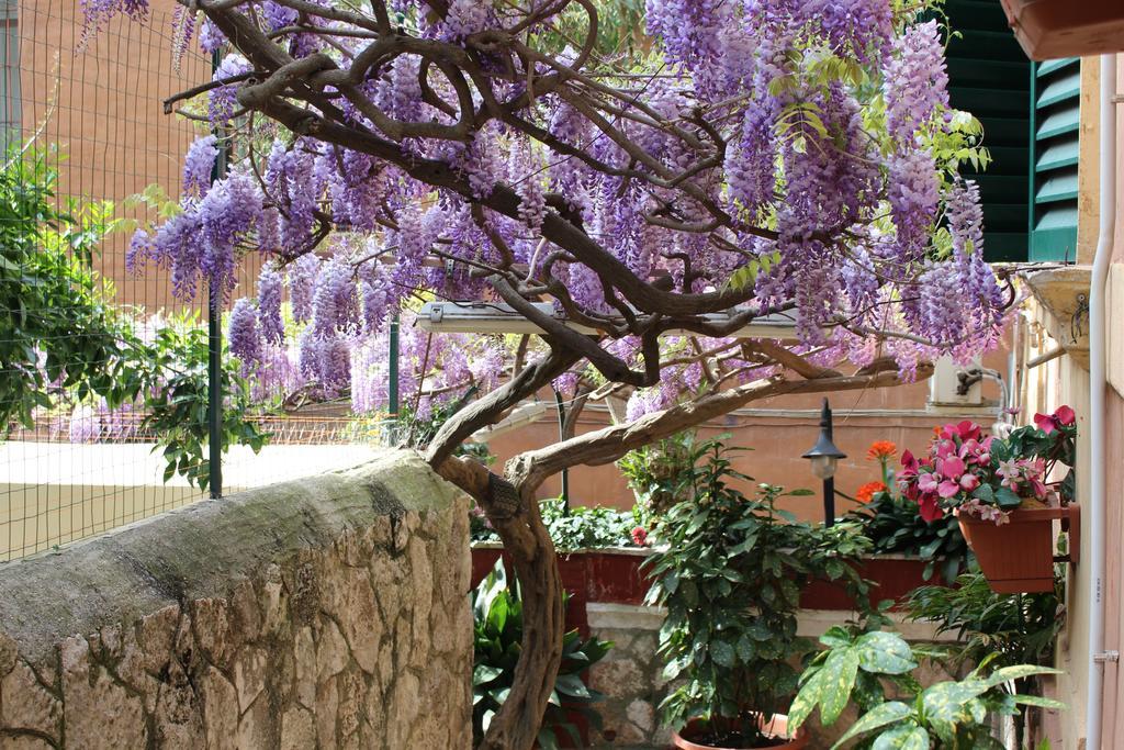 Hotel Pavia Rome Exterior photo