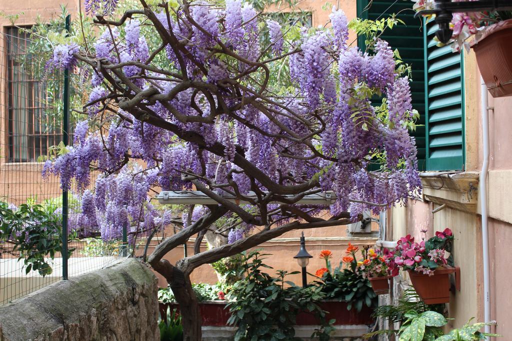 Hotel Pavia Rome Exterior photo